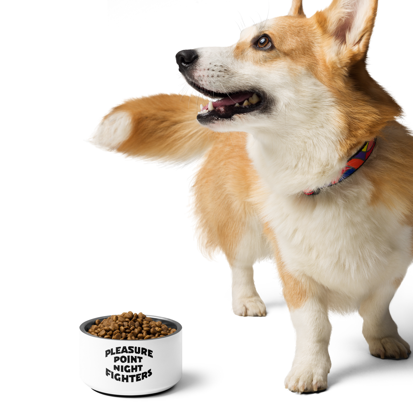 PPNF Pet bowl
