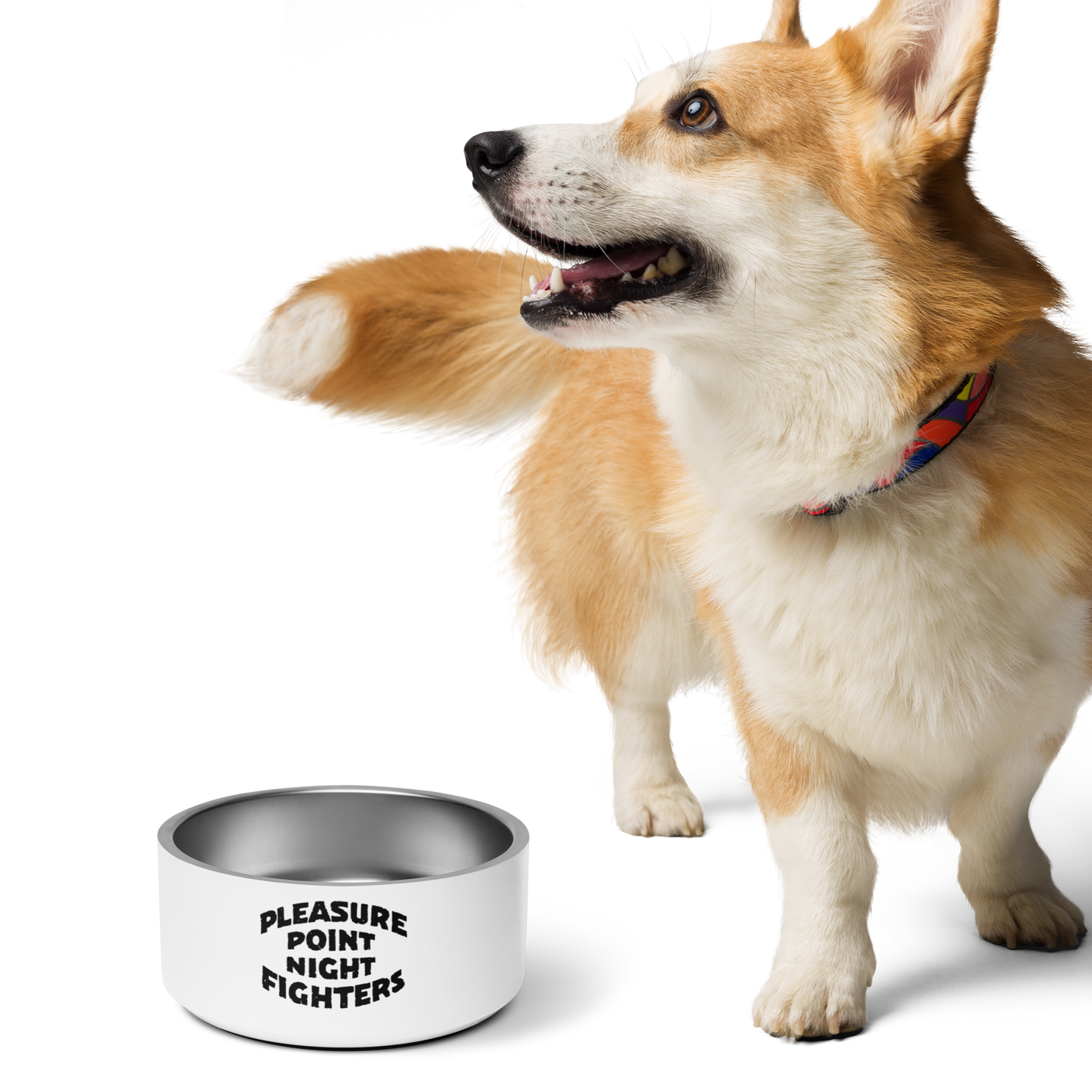 PPNF Pet bowl