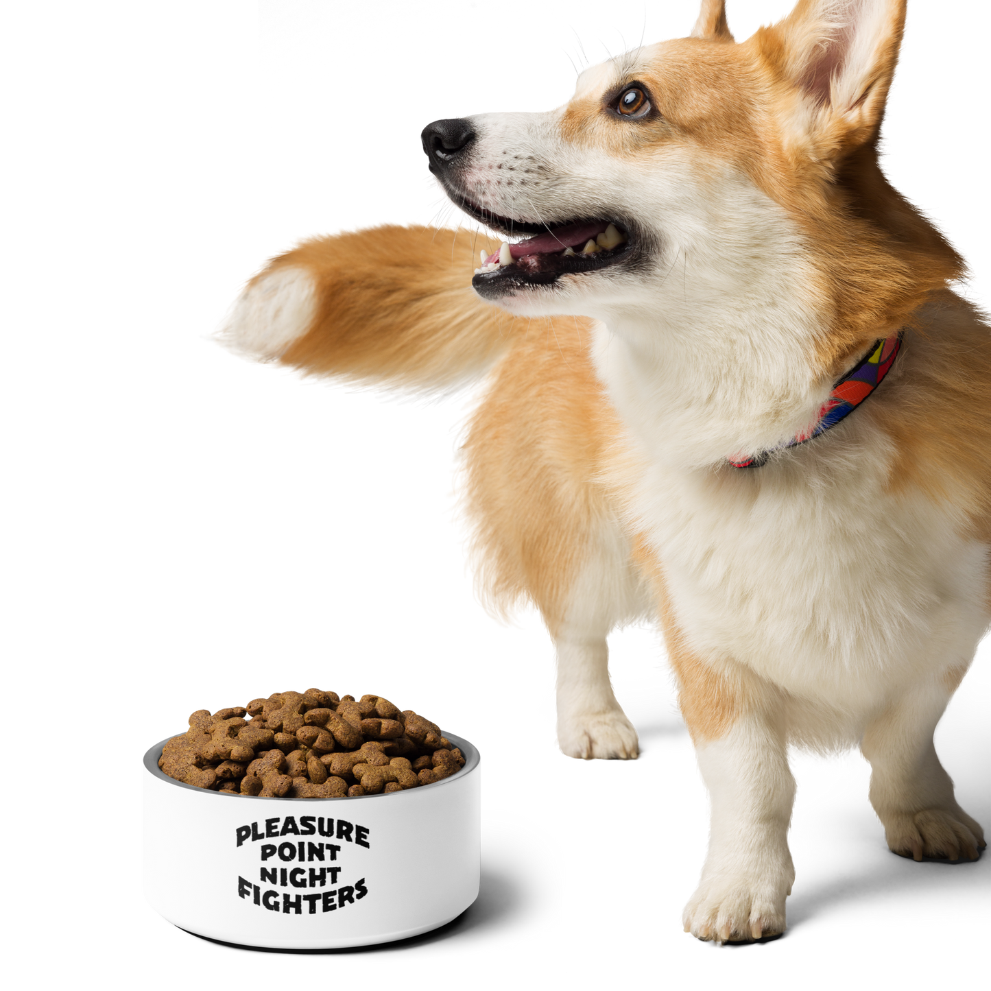 PPNF Pet bowl