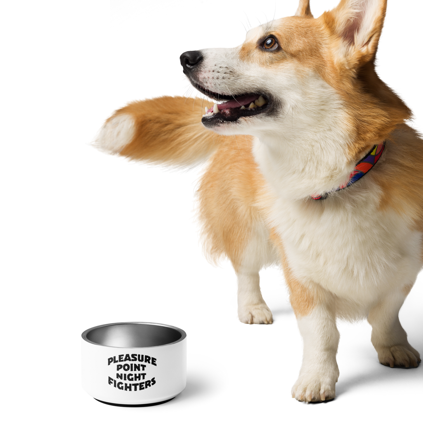 PPNF Pet bowl